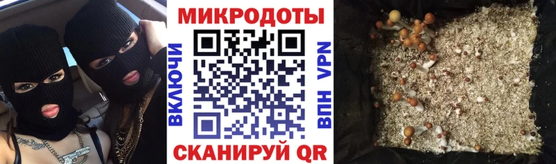 Псилоцибиновые грибы MAGIC MUSHROOMS Мирный